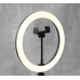 Ring Light Luz Led 8