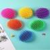 Brinquedos Morphing Worm Elásticos De Descompressão Com Rede Elástica-Brinquedo De Defomação Minhoca-Presente Engraçado